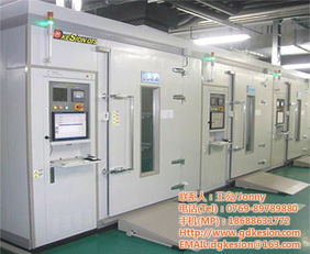 專業(yè)檢測(cè)儀器與數(shù)字電視系統(tǒng)研發(fā) 技術(shù)創(chuàng)新與市場(chǎng)優(yōu)勢(shì)